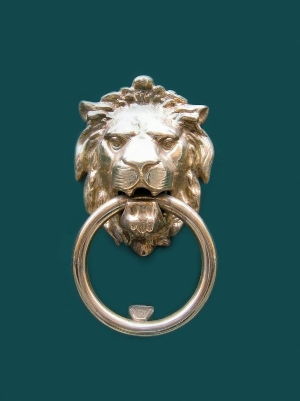Bague lion : élégance à prix réduit et confort assuré